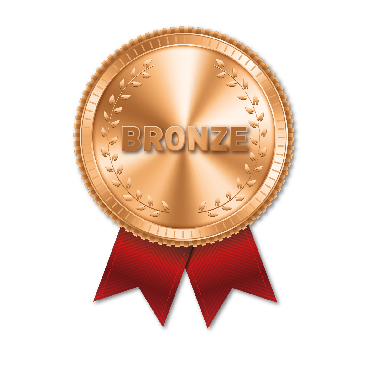 TD Bronze Award